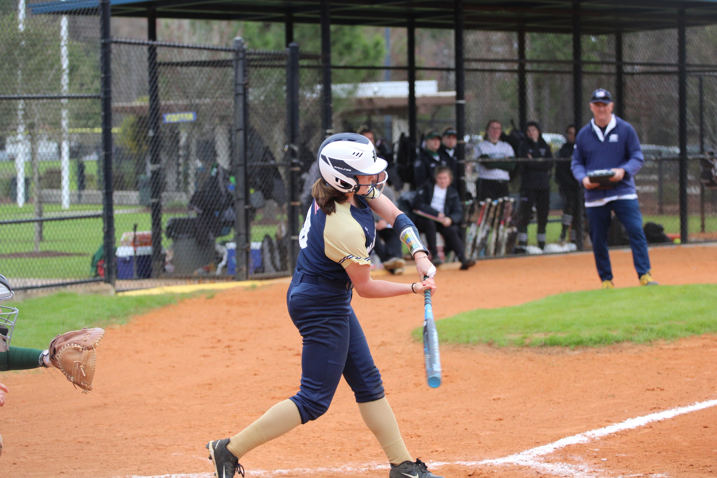 Softball: Bucs Stung by Hornets