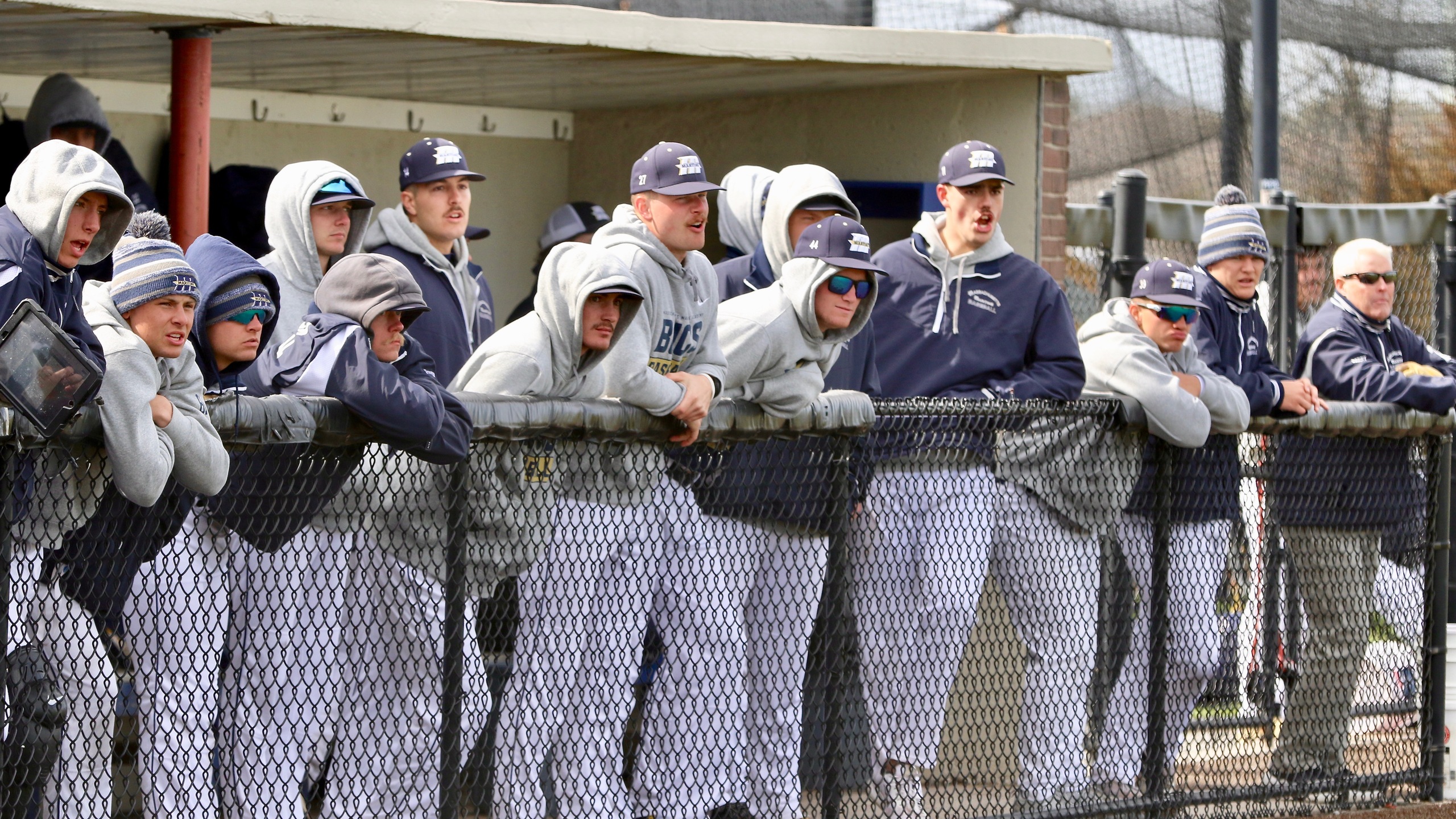 Baseball Swept by Bears; Drop First Conference Series of the Season
