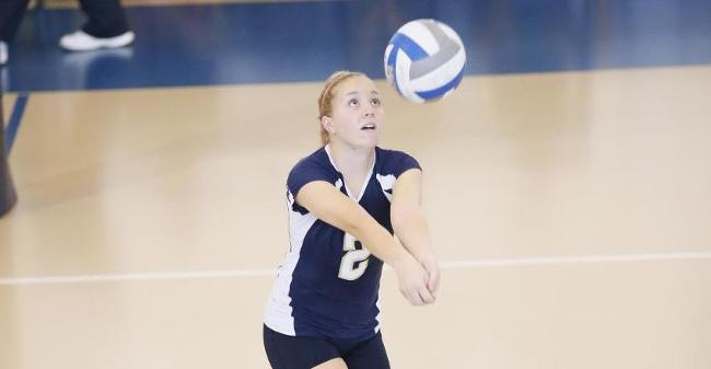 Volleyball Begins New Era This Fall Under Appleman's Watch With Solid Mix Of Veterans, Newcomers In Fold