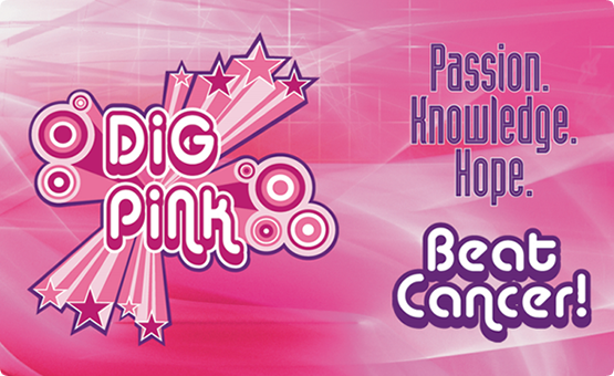 Volleyball To Hold Dig Pink Rallies During Upcoming Bridgewater State, Wentworth Home Matches